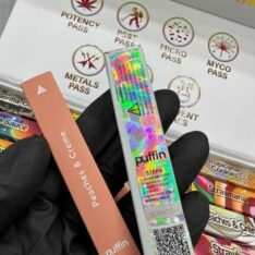 Buy Puffin Disposable 1 Gram Premium Live Resin Vape | Flavorful & Smooth Experience