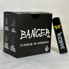 Buy Banger 1G Disposable Vape | Smooth Flavors & Portable Design