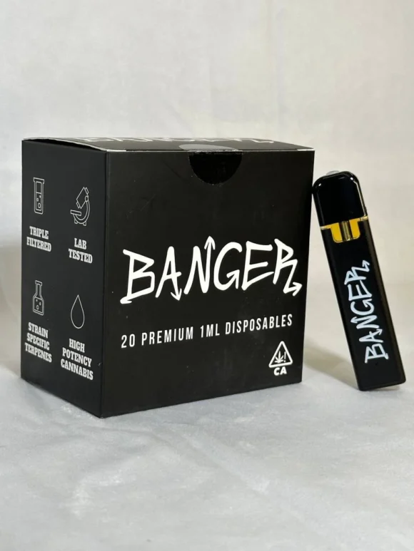Buy Banger 1G Disposable Vape | Smooth Flavors & Portable Design