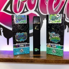 Buy Zooters 2G Disposable Vape | Premium THC, Unique Flavors