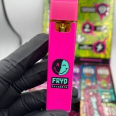 Buy Fryd Extracts 2 Gram Disposable Vape | Bold Flavors & High Potency