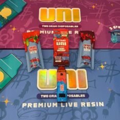 Buy UNI 2G Disposable Premium Live Resin Vape | Rich Flavor & Smooth Hits