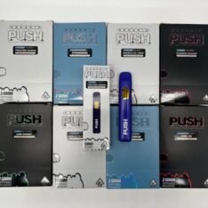 Buy Push Disposable 2Gram Vape