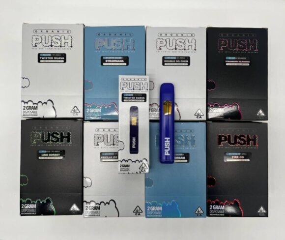 Buy Push Disposable 2Gram Vape