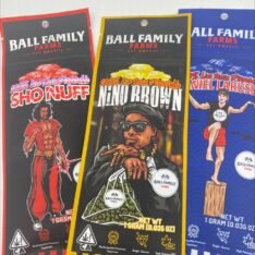 Buy Ball Family Farms 100% Live Resin Disposable Vape