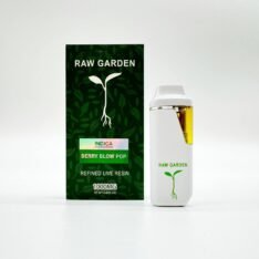 Buy Raw Garden Disposable 1Gram Vape