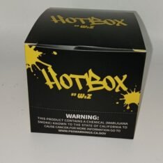 Hotbox by Wiz Disposable Vape
